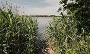 Gewässerwelt Spreewald, Foto: Lena Tschuikow, Lizenz: Tourismusverband Spreewald