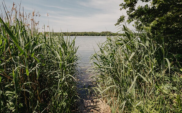 Gewässerwelt Spreewald, Foto: Lena Tschuikow, Lizenz: Tourismusverband Spreewald