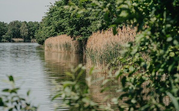 Gewässerwelt Spreewald, Foto: Lena Tschuikow, Lizenz: Tourismusverband Spreewald
