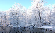 Winterzauber, Foto: Tierpark Cottbus