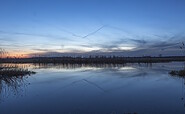 Twilight over the Westhavelland, Foto: Steffen Lehmann, Lizenz: TMB