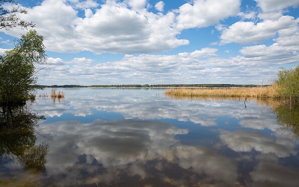 Schwielochsee, Foto: Steffen Lehmann, Lizenz: TMB