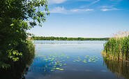 Lake Teupitzer See, Foto: Steffen Lehmann, Lizenz: TMB