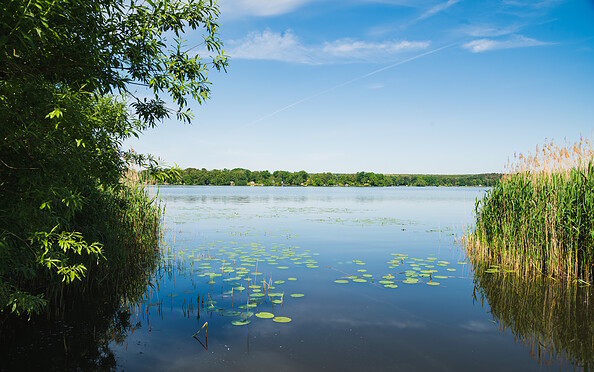 Lake Teupitzer See, Foto: Steffen Lehmann, Lizenz: TMB