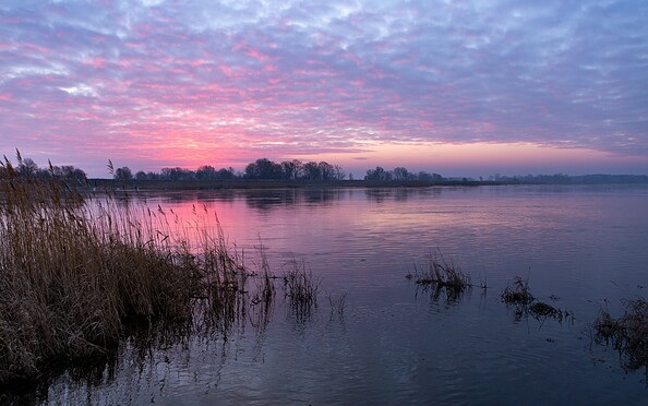 Abenddämmerung an der Oder, Foto: Steffen Lehmann, Lizenz: TMB