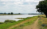 An der Oder, Foto: Steffen Lehmann, Lizenz: TMB