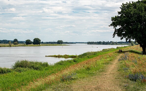 An der Oder, Foto: Steffen Lehmann, Lizenz: TMB