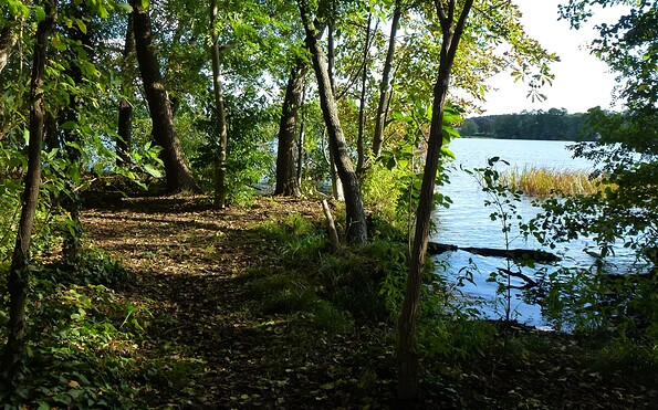 Husareneck, Foto: Petra Förster