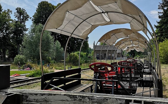 Große Hebeldraisine, Foto: Uwe Seibt, Lizenz: IHK