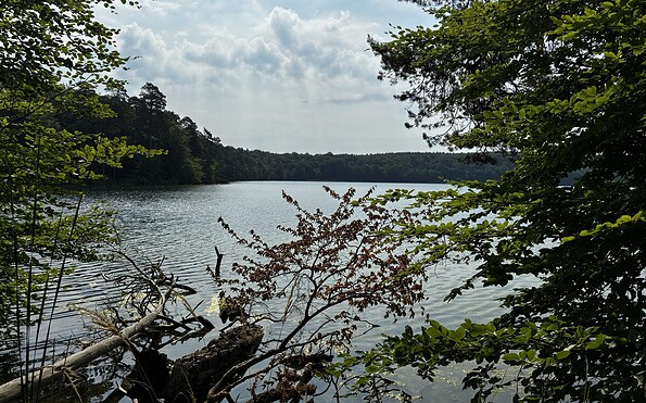 Blick auf den Stechlinsee, Foto: Jörg Bartz, Lizenz: Brandenburgische Seenplatte GmbH
