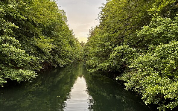 Polzowkanal, Foto: Jörg Bartz, Lizenz: Brandenburgische Seenplatte GmbH