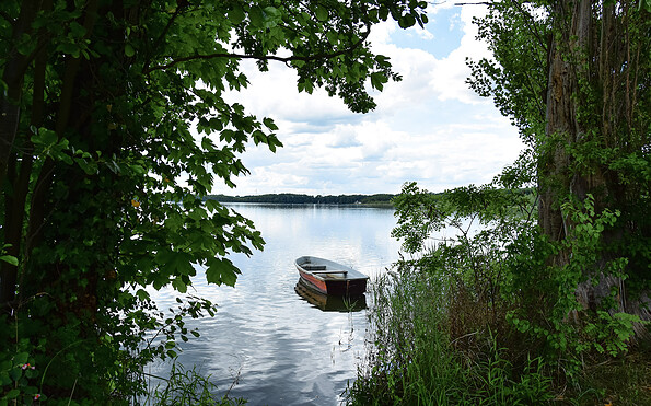 Pätzer Vordersee, Foto: Sandra Fonarob, Lizenz: Tourismusverband Dahme-Seenland e.V.