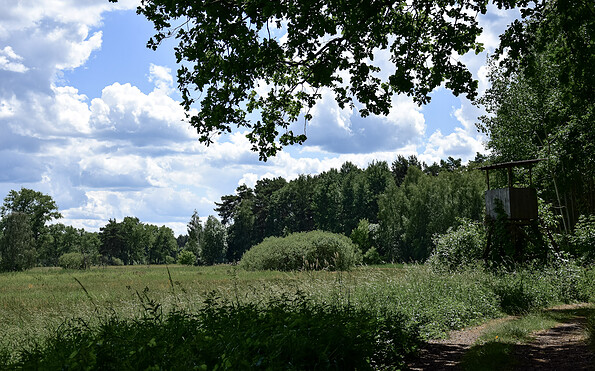 Offenlandschaft, Foto: Sandra Fonarob, Lizenz: Tourismusverband Dahme-Seenland e.V.