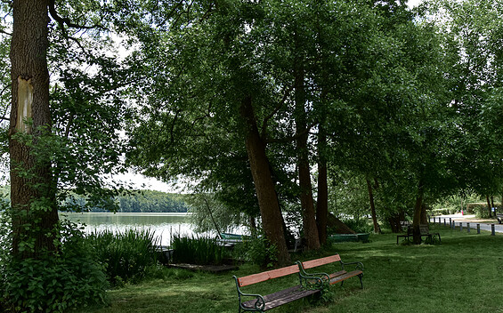 Bänke am Ufer, Foto: Sandra Fonarob, Lizenz: Tourismusverband Dahme-Seenland e.V.
