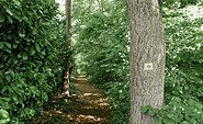 Wnderweg mit Markierungszeichen, Foto: Sandra Fonarob, Lizenz: Tourismusverband Dahme-Seenland e.V.