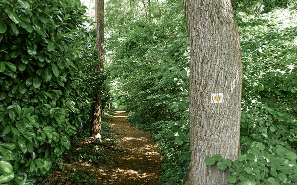 Wnderweg mit Markierungszeichen, Foto: Sandra Fonarob, Lizenz: Tourismusverband Dahme-Seenland e.V.