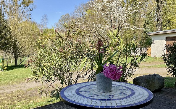 Ferienhaus Schönberg, Gartenblick, Foto: Ursula Schmohl, Lizenz: Ursula Schmohl