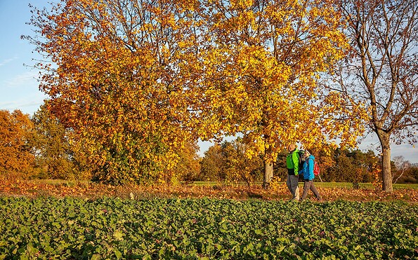 hikers near Mittenwalde, Foto: Michael Zalewski, Lizenz: Landkreis Dahme-Spreewald