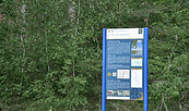 Infotafel am Paul-Gerhardr-Weg, Foto: Sandra Fonarob, Lizenz: Tourismusverband Dahme-Seenland e.V.