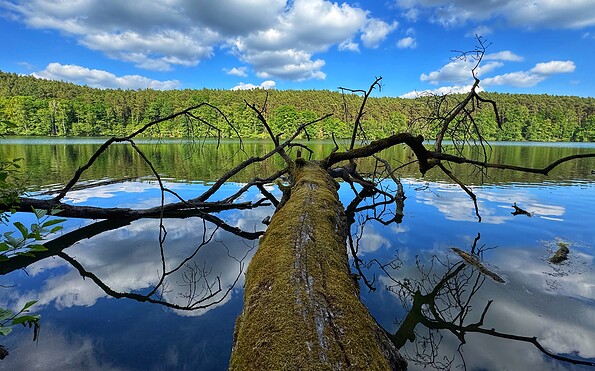 Am Wirchensee, Foto: Constanze Mikeska
