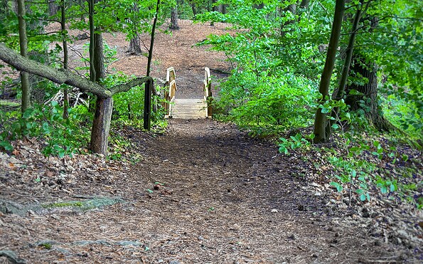 Wanderweg am Wirchensee, Foto: Constanze Mikeska