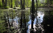 Am Wirchensee, Foto: Constanze Mikeska