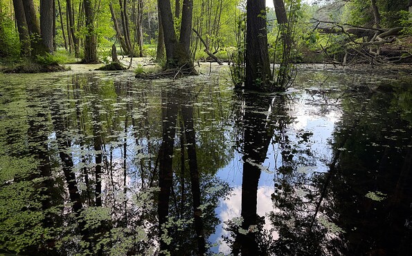Am Wirchensee, Foto: Constanze Mikeska