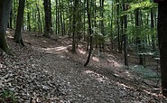 Wanderweg am Wirchensee, Foto: Constanze Mikeska