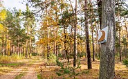 Paul-Gerhardt Trail, Foto: Michael Zalewski, Lizenz: Landkreis Dahme-Spreewald