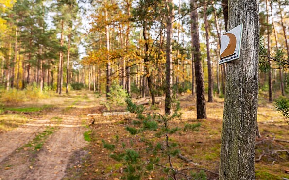 Paul-Gerhardt Trail, Foto: Michael Zalewski, Lizenz: Landkreis Dahme-Spreewald