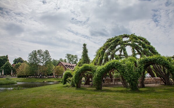 Willow Cathedral in Schlepzig, Foto: Peter Becker, Lizenz: Tourismusverband Dahme-Seenland e.V.