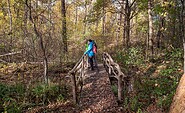 At Köthener Heide, Foto: Michael Zalewski, Lizenz: Landkreis Dahme-Spreewald