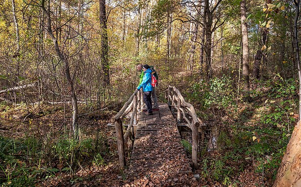 At Köthener Heide, Foto: Michael Zalewski, Lizenz: Landkreis Dahme-Spreewald