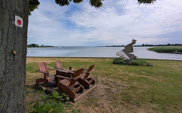 Nordufer am Unteruckersee, Foto: Merith Sommer, Lizenz: TMU GmbH