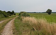 Wandern bei Seehausen, Foto: Merith Sommer, Lizenz: TMU GmbH
