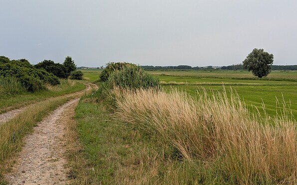 Wandern bei Seehausen, Foto: Merith Sommer, Lizenz: TMU GmbH