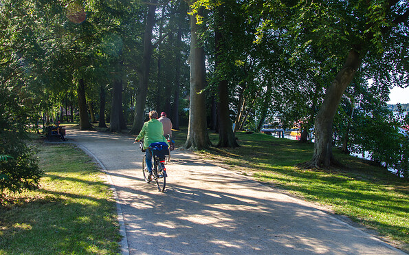 Radrundtour Glasmacher, Foto: Amt Joachimsthal (Schorfheide), Lizenz: Amt Joachimsthal (Schorfheide)