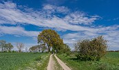 Rund um Berlin Blumberg , Foto: Lutz Weigelt, Lizenz: Regionalpark Barnimer Feldmark e.V.