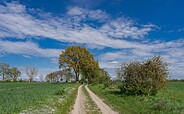 Rund um Berlin Blumberg , Foto: Lutz Weigelt, Lizenz: Regionalpark Barnimer Feldmark e.V.
