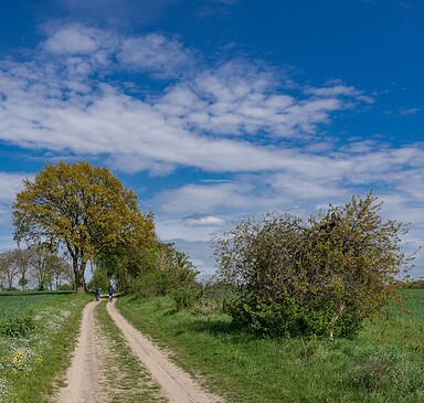 Rund um Berlin Blumberg , Foto: Lutz Weigelt, Lizenz: Regionalpark Barnimer Feldmark e.V.