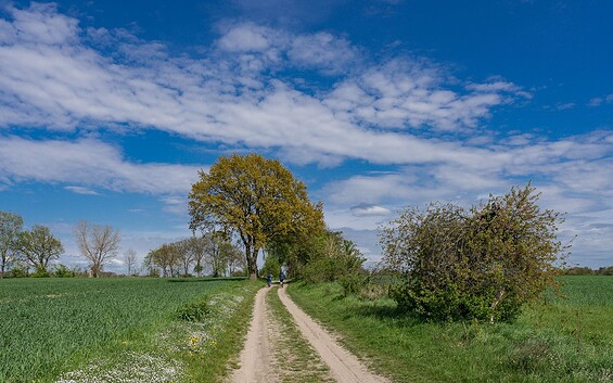 Rund um Berlin Blumberg , Foto: Lutz Weigelt, Lizenz: Regionalpark Barnimer Feldmark e.V.