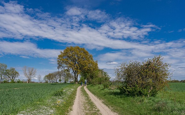 Rund um Berlin Blumberg , Foto: Lutz Weigelt, Lizenz: Regionalpark Barnimer Feldmark e.V.