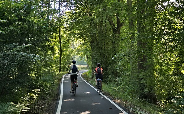 Fahrradweg Spreeradweg, Foto: Marie Kessler, Lizenz: Seenland Oder-Spree