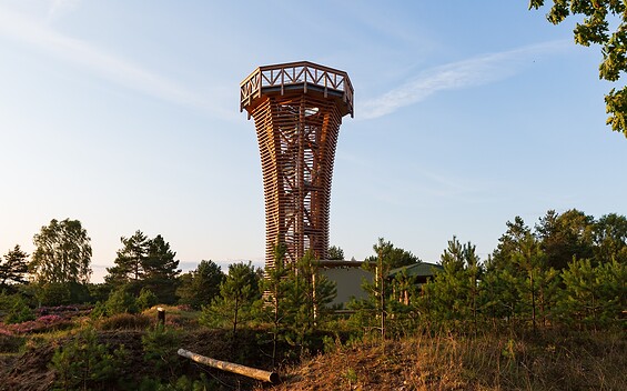 Heidelandschaft mit Heideturm, Foto: Steffen Lehmann, Lizenz: TMB Tourismus-Marketing Brandenburg