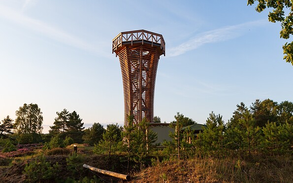 Heidelandschaft mit Heideturm, Foto: Steffen Lehmann, Lizenz: TMB Tourismus-Marketing Brandenburg