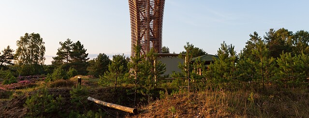 Heidelandschaft mit Heideturm, Foto: Steffen Lehmann, Lizenz: TMB Tourismus-Marketing Brandenburg