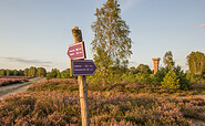 Heidelandschaft mit Heideturm, Foto: Nora Künkler