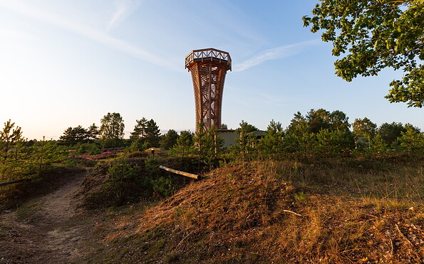 Heideturm , Foto: Steffen Lehmann, Lizenz: TMB Tourismus-Marketing Brandenburg