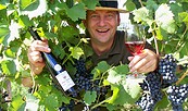 Weingut Gunter Schurig, Foto: Heike Schurig, Lizenz: Heike Schurig