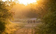 Sonnenuntergang bei Aurith, Foto: Florian Läufer, Lizenz: Seenland Oder Spree